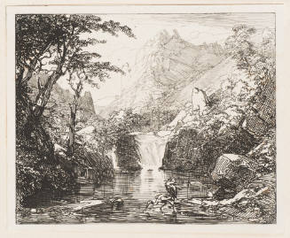 Reiher Am Wasserfall