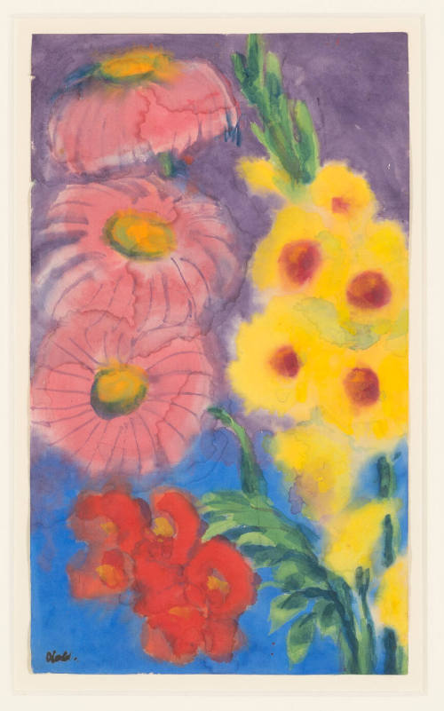 Gladioli, Chrysanthemum and Cacti