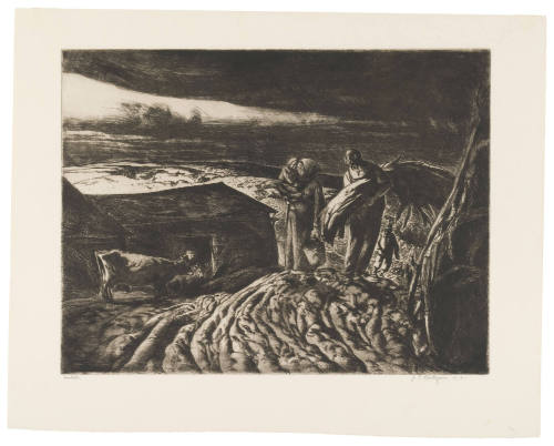 John Edward Costigan
