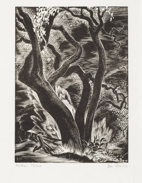 Kukui Trees