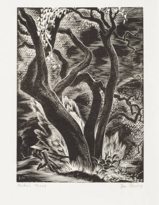 Kukui Trees