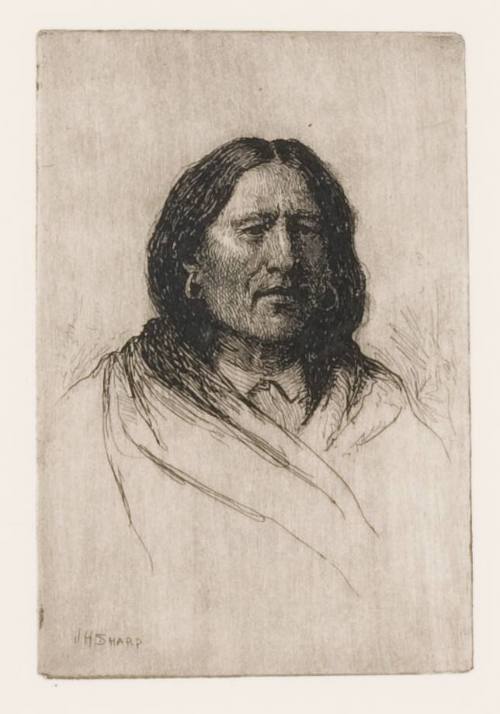 Standing Deer - Taos