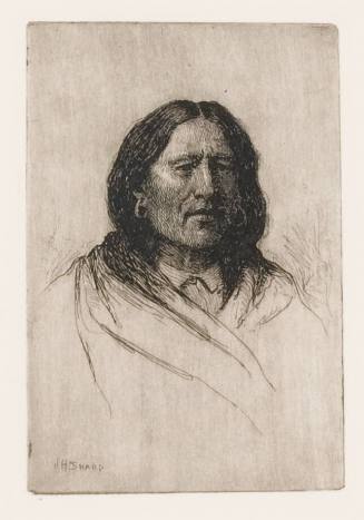 Standing Deer - Taos