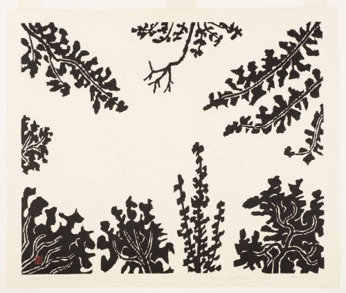 Blue Sky, Washington, D. C.