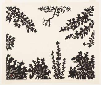 Blue Sky, Washington, D. C.