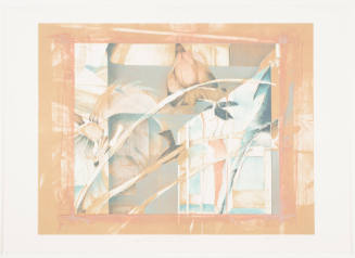 Reflections - Holding Pattern, Natural History Museum Cincinnati