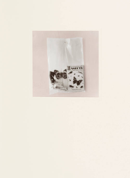 For You -  Dangerous Collection