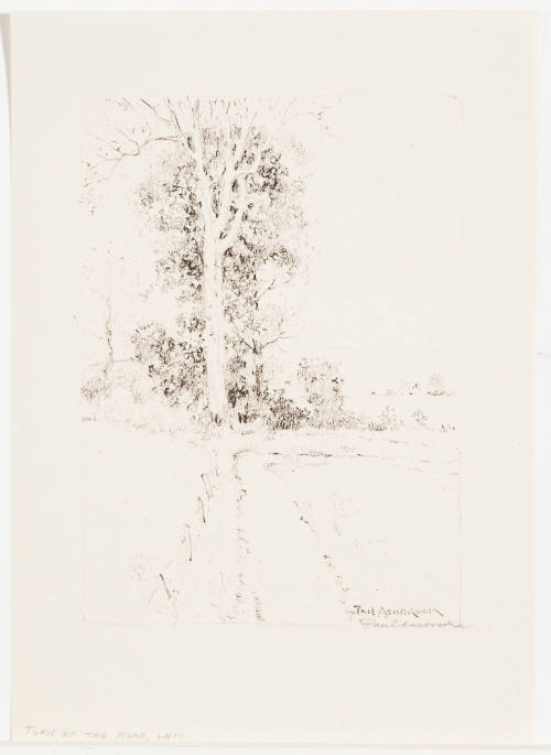 Turn of the Road, Ohio