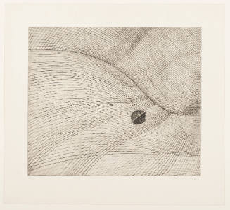 Skin of the Landscape