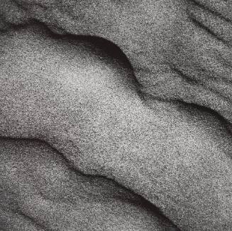 Warren Dunes, Michigan