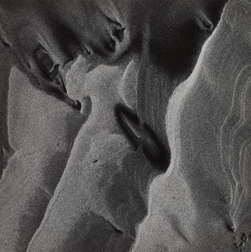 Warren Dunes, Michigan