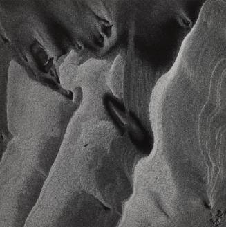 Warren Dunes, Michigan