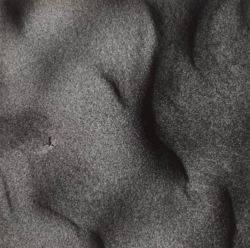 Warren Dunes, Michigan