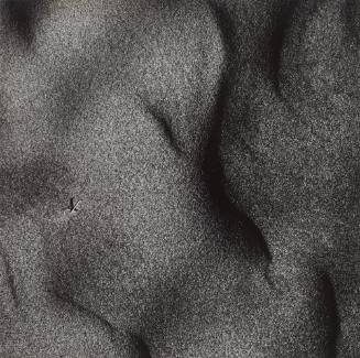 Warren Dunes, Michigan