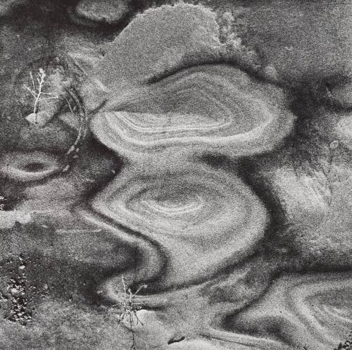 Warren Dunes, Michigan