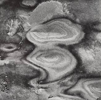 Warren Dunes, Michigan