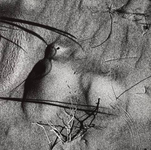 Warren Dunes, Michigan