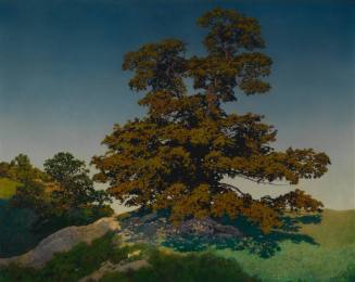 Portrait of a Tree