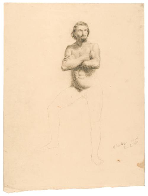 Male Nude Study