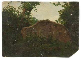 Landscape with Boulder