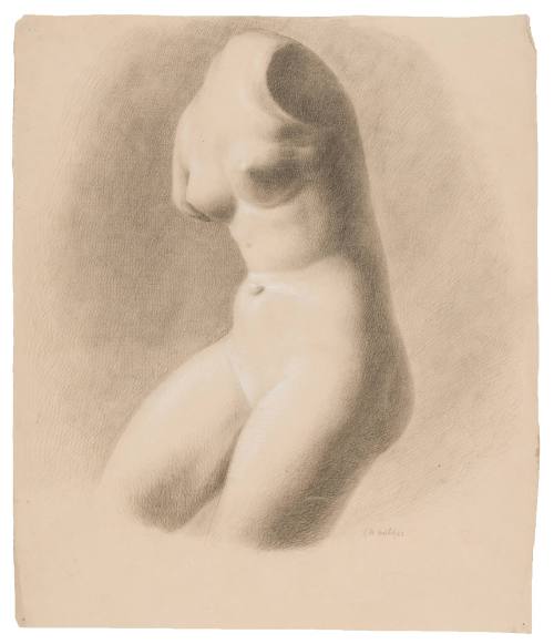 Study of Female Torso