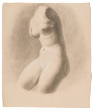 Study of Female Torso