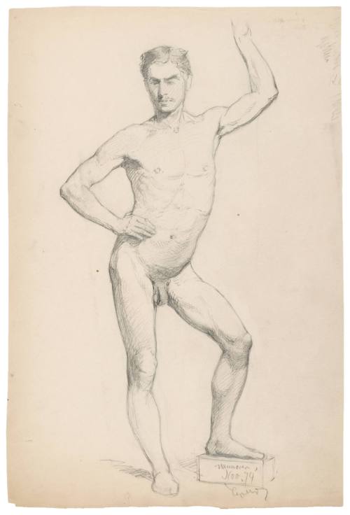 Male Nude Study