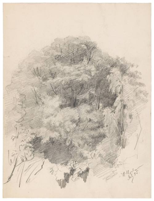 Tree Study (recto); Landscape Sketch with Rooftops (verso)