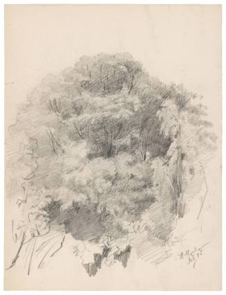Tree Study (recto); Landscape Sketch with Rooftops (verso)