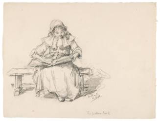 Study for the Picture Book