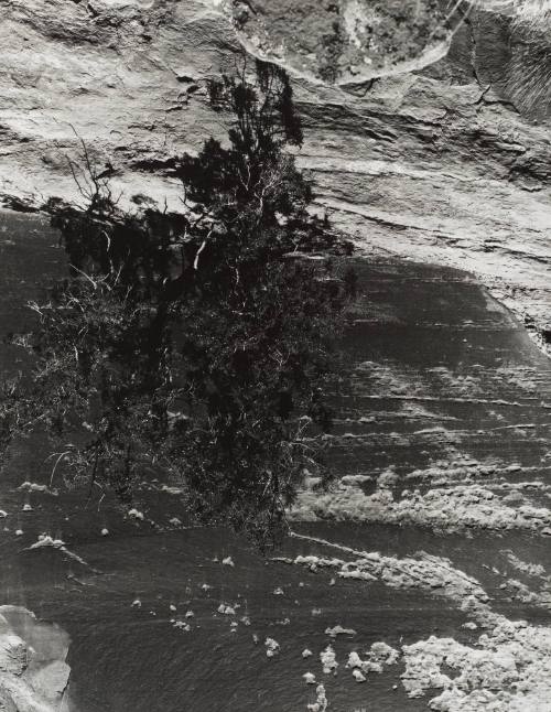 Colorado National Monument #1