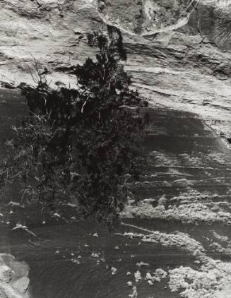 Colorado National Monument #1