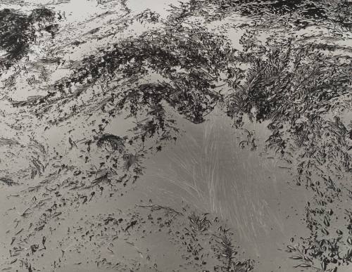 Low Tide, Point Lobos, #4