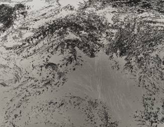 Low Tide, Point Lobos, #4