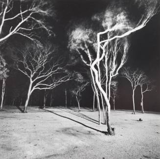 Mexico-Yucatan (Uxmal)