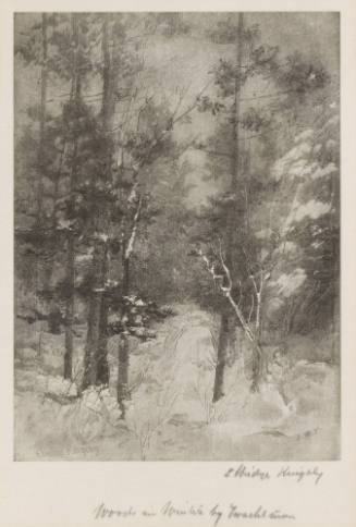 Woods in Winter