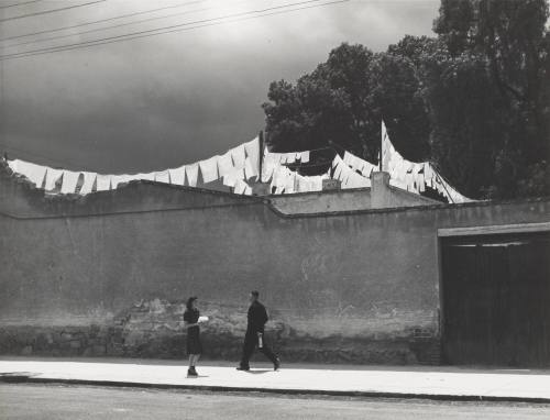 How Small the World Is