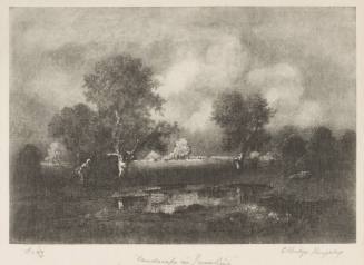 Landscape in Sunshine