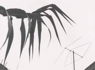 Carrizo and Television Antenna