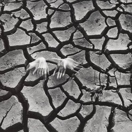 Riverview Park, Kentucky