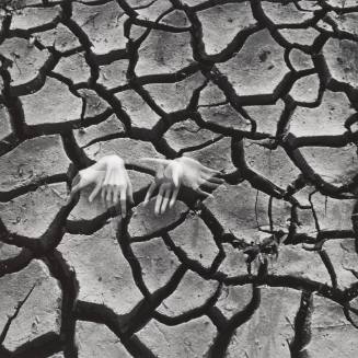 Riverview Park, Kentucky