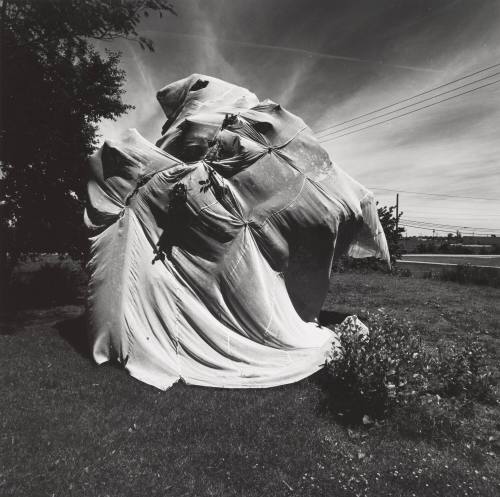 Near Lexington Kentucky