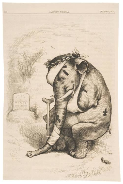 "Another Such Victory and I Am Undone." - Purrhus