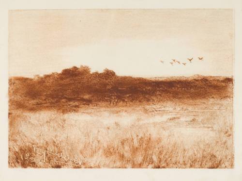 Edward Timothy Hurley