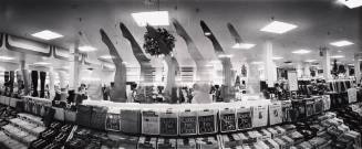 McAlpins Display