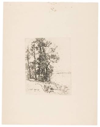 Trees Along Rivers Edge