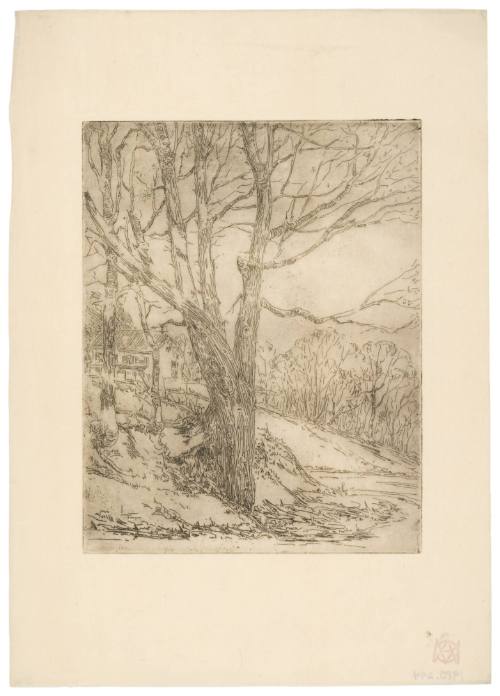 House Through the Trees