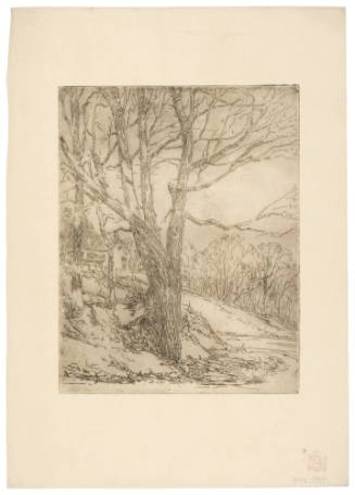 House Through the Trees