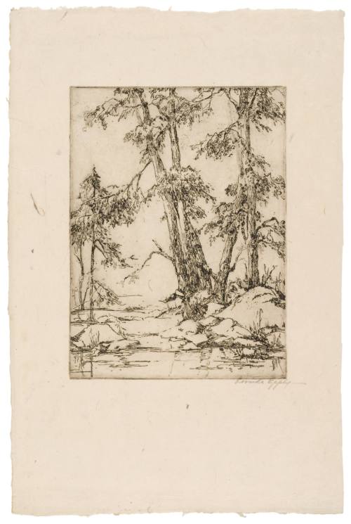 Trees at Water's Edge