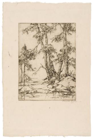 Trees at Water's Edge